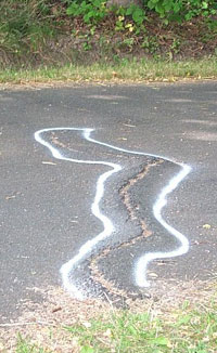 A crack in a multi-use path is outlined with white spray paint